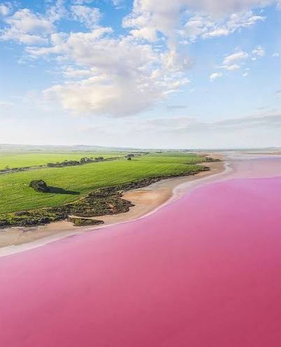 Pink Lake Tour Stop 3